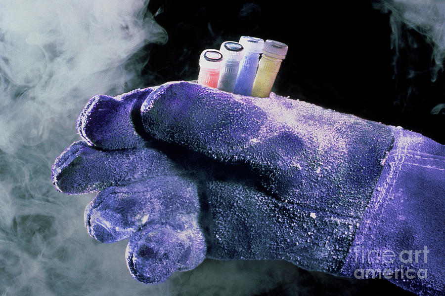 Gloved Hand With Sample Tubes From Liquid Nitrogen Photograph by Geoff Tompkinson/science Photo Library