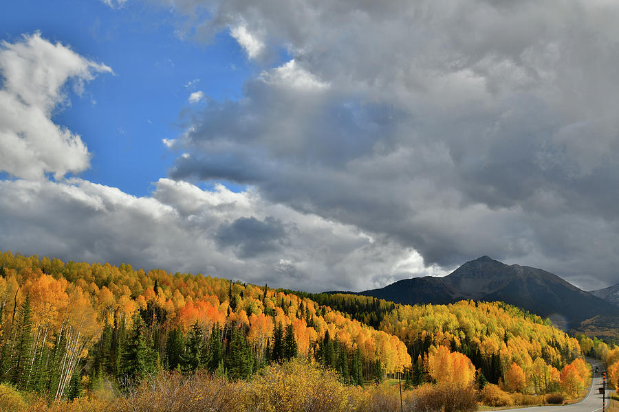 Glowing Aspens in the Shadow of Sunshine Mountain Photograph by Ray Mathis