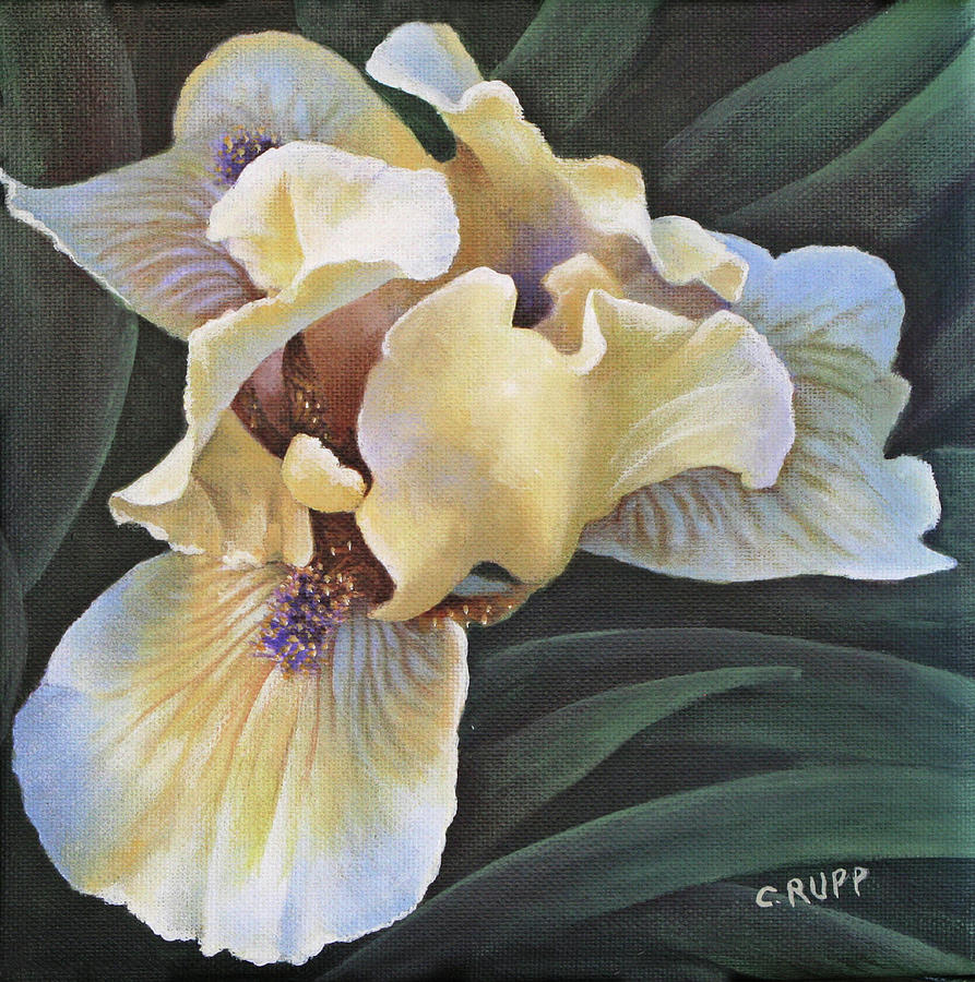 Flower Painting - Glowing by Carol J Rupp