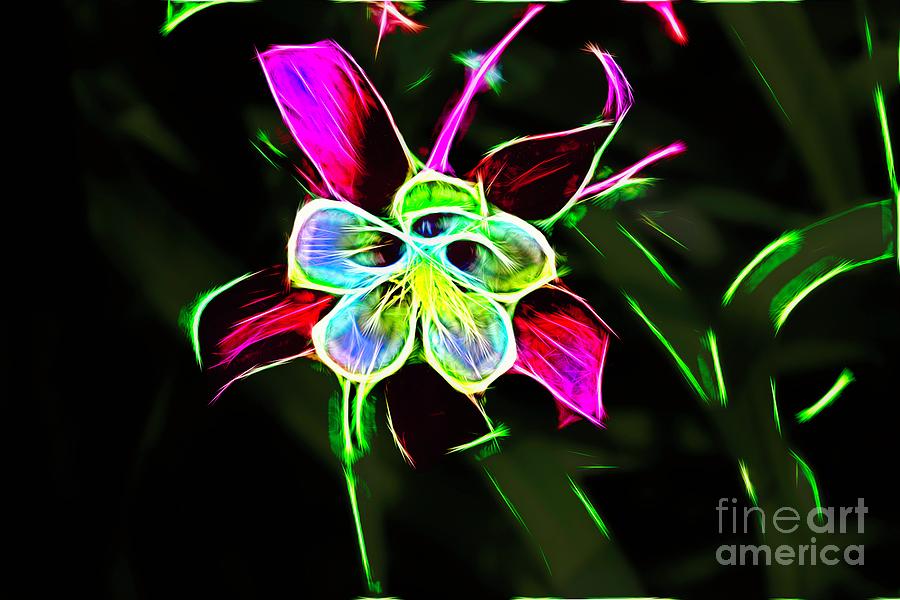 Glowing Columbine Flower by Karen Silvestri Glowing Columbine Flower by Karen Silvestri