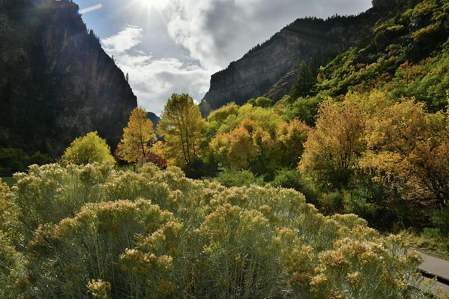 Glowing Fall Colors in Glenwood Canyon Photograph by Ray Mathis