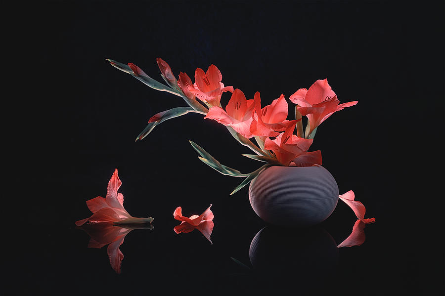 Flower Photograph - Glowing Gladiolus by Lydia Jacobs