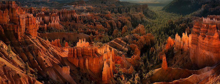 Landscape Photograph - Glowing Hoodoos by Lydia Jacobs