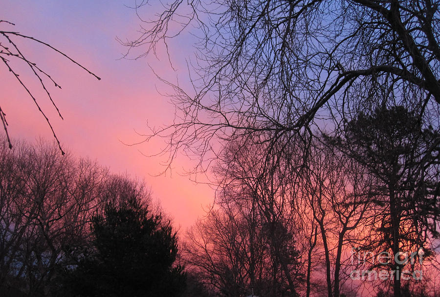 Pink Glowing Evening Sky Photograph by Deborah A Andreas