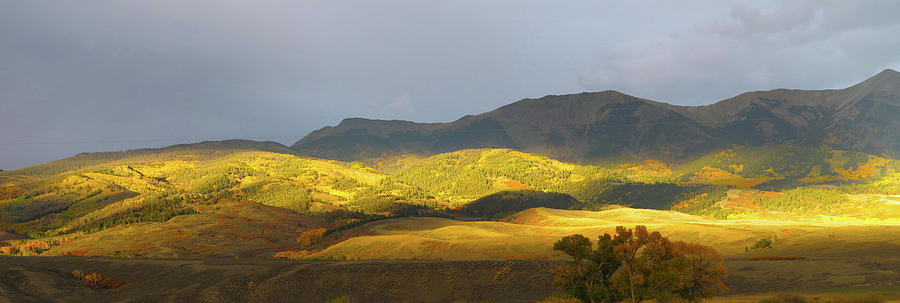 Glowing Sunset by Carol Milisen Glowing Sunset by Carol Milisen