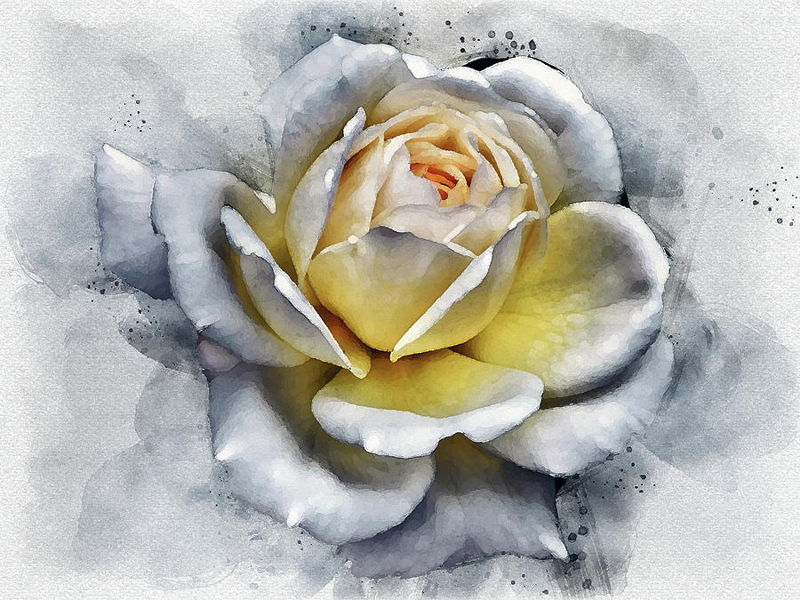 Glowing Yellow Rose Painting by Philip Openshaw