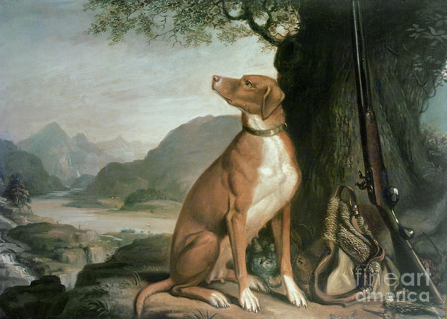 Gm Johnstons Favorite Gun Dog In A Landscape Painting by J Francis Sartorius