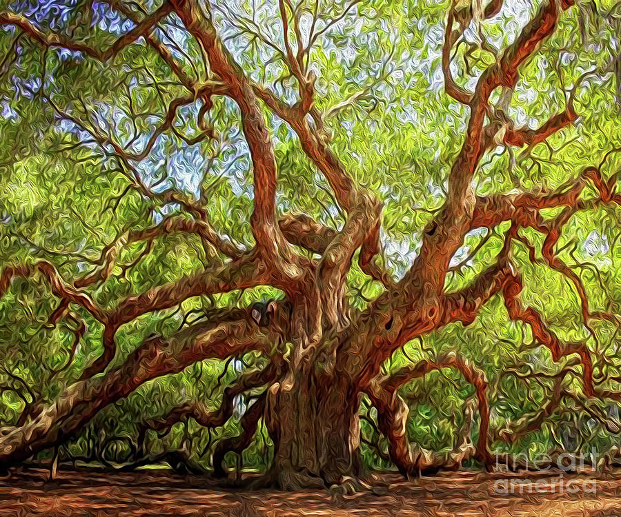 Pictures Of Gnarly Trees at ganraquelblog Blog