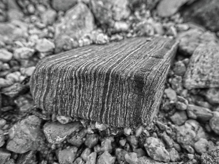 Gneiss Photograph by Bob Geary
