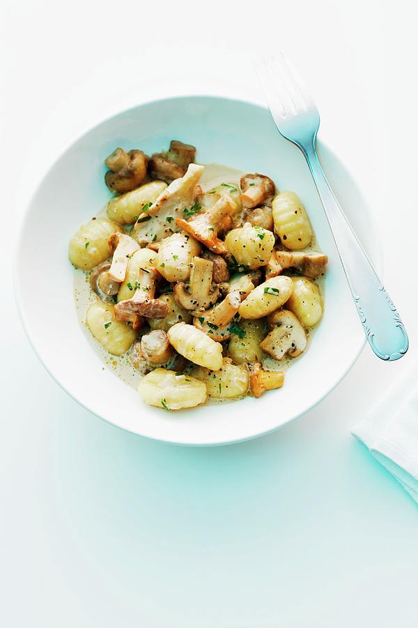 Gnocchi With Mushroom Sauce Photograph by Michael Wissing