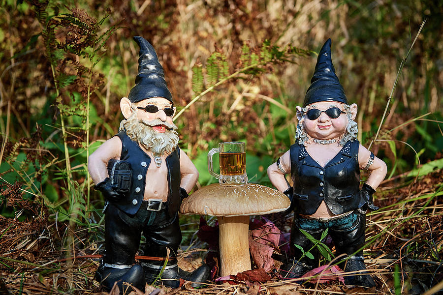 Mushroom Photograph - Gnomes in the forest by Paul Freidlund
