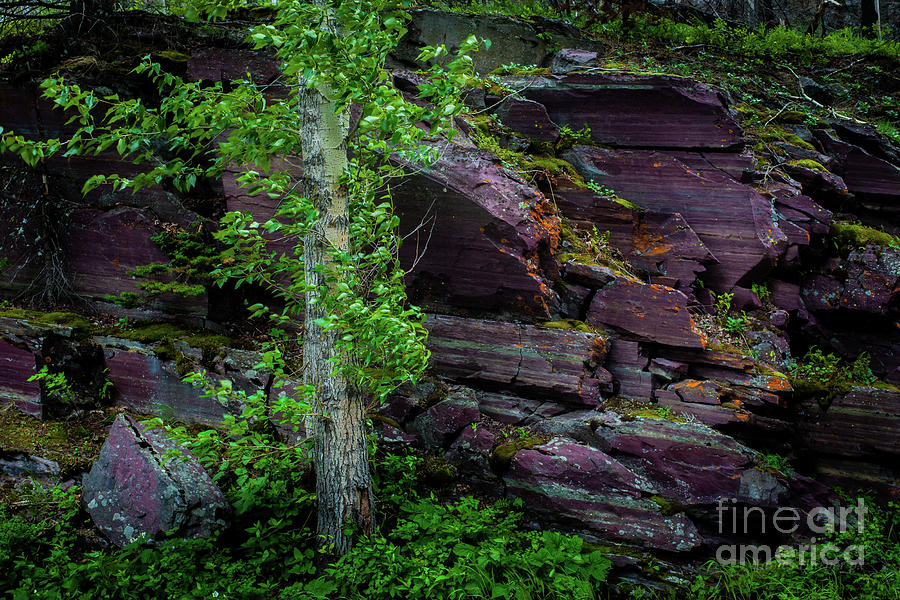 GNP 4284 by James Harper GNP 4284 by James Harper