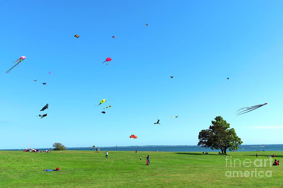 Go Fly A Kite Photograph by Joe Geraci