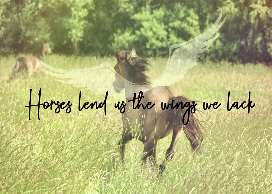 GO FLYING quote Photograph by Dressage Design