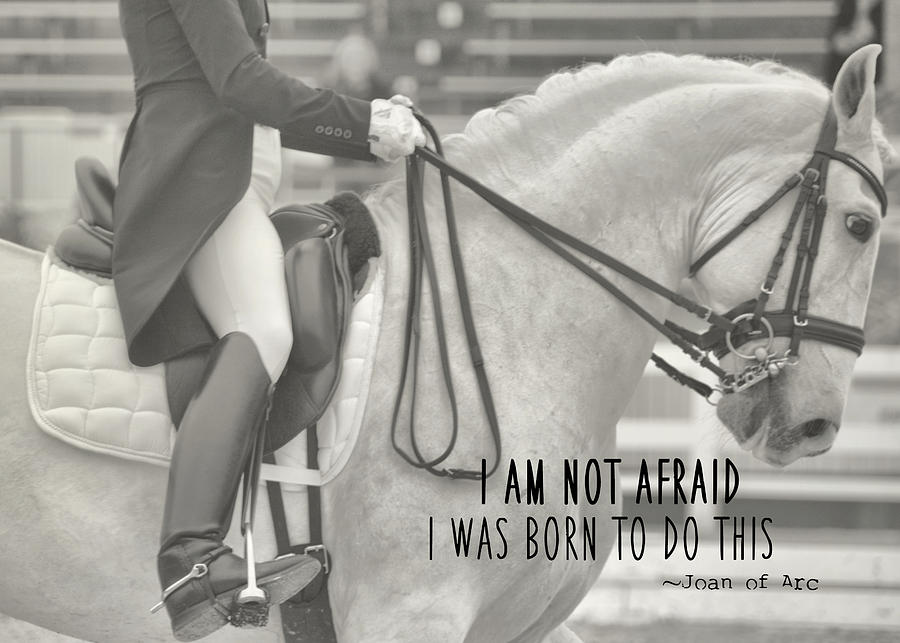 GO FOR BAROQUE quote Photograph by Dressage Design