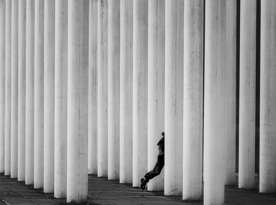 Go It Alone Photograph by Jrgen Hartlieb