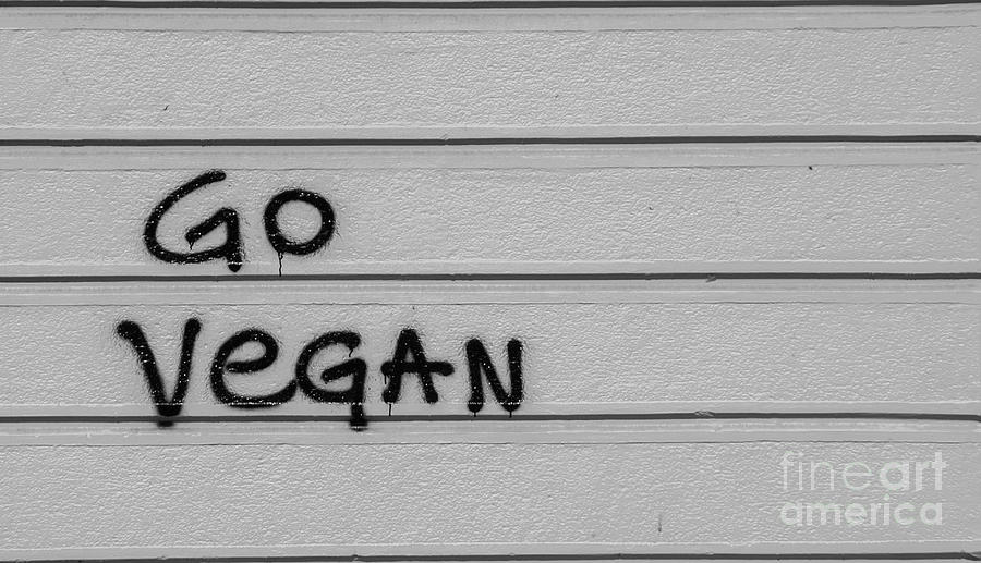 Go Vegan Photograph by Brian Kamprath