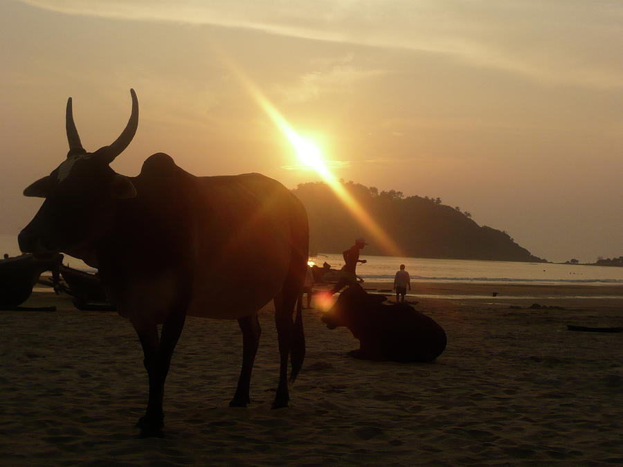 Goa Sunset Photograph by Alain Messerli