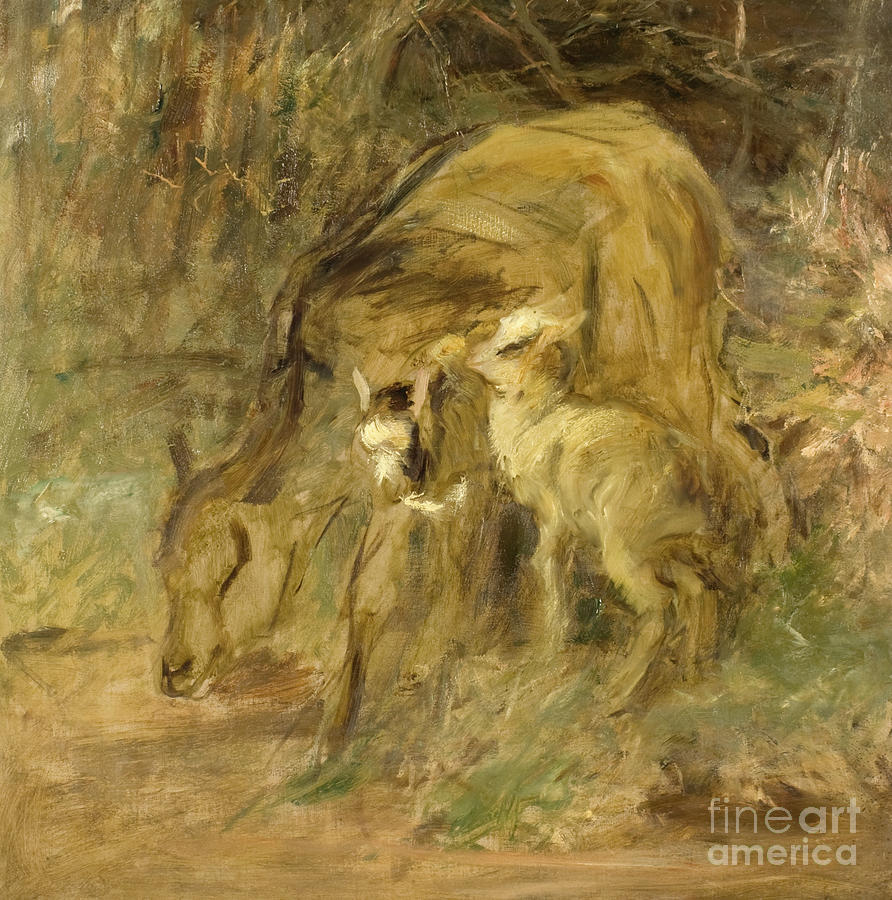 Wildlife Painting - Goat And Kids by Robert Alexander