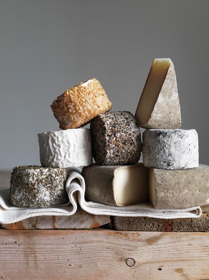 Cheese Photograph - Goats Cheese From Normandy by Joerg Lehmann