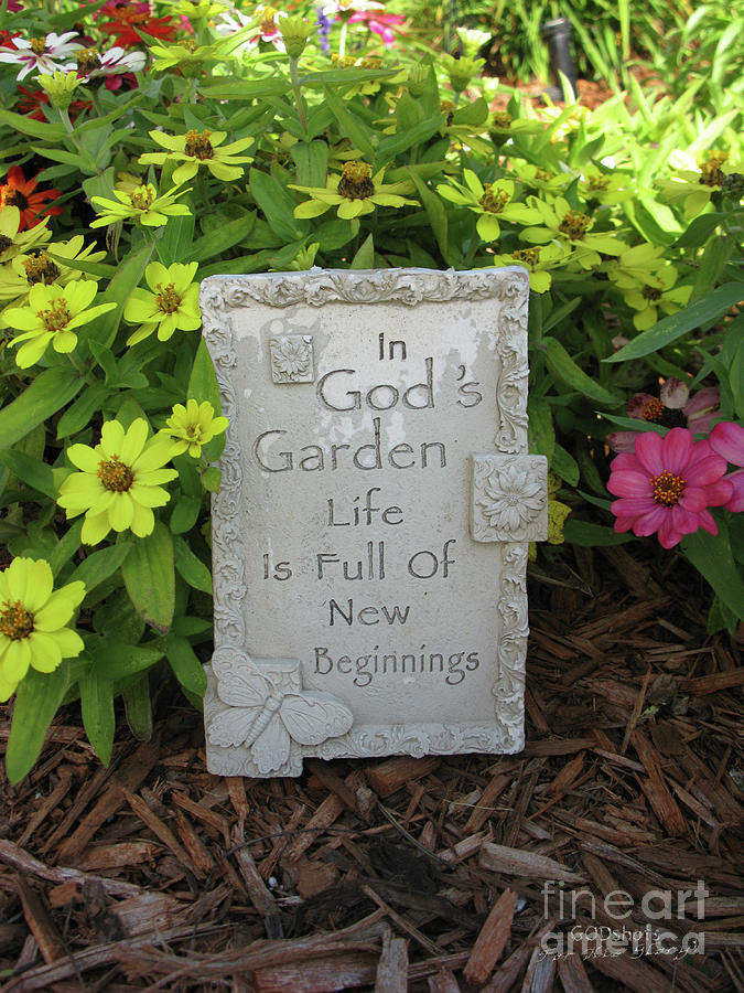 Gods garden Mixed Media by Lori Tondini