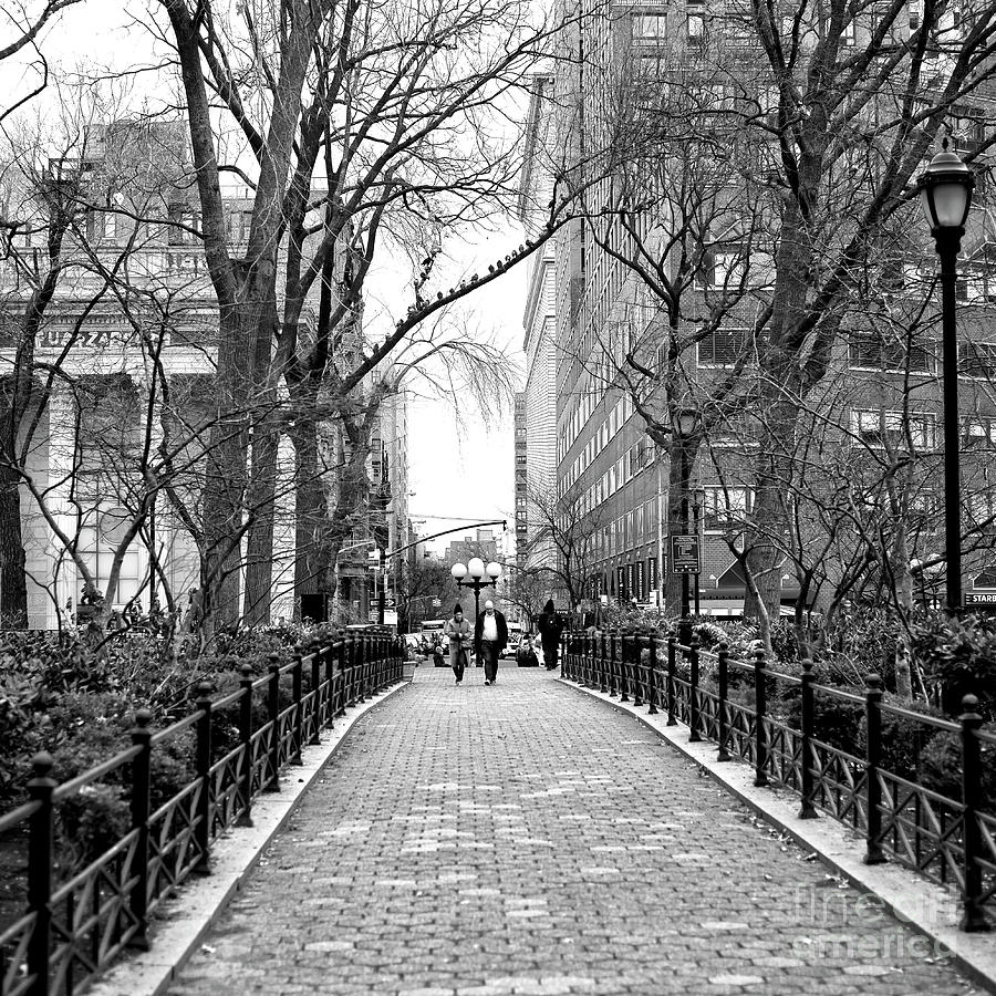 Going for a Walk at Union Square Park in New York City Square Photograph by John Rizzuto