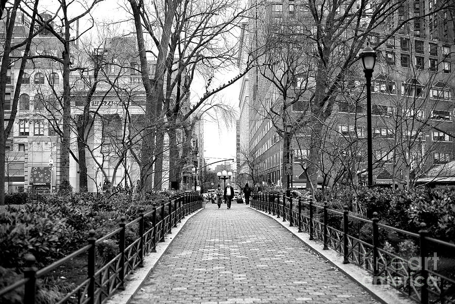 Tree Photograph - Going for a Walk in Union Square Park New York City by John Rizzuto