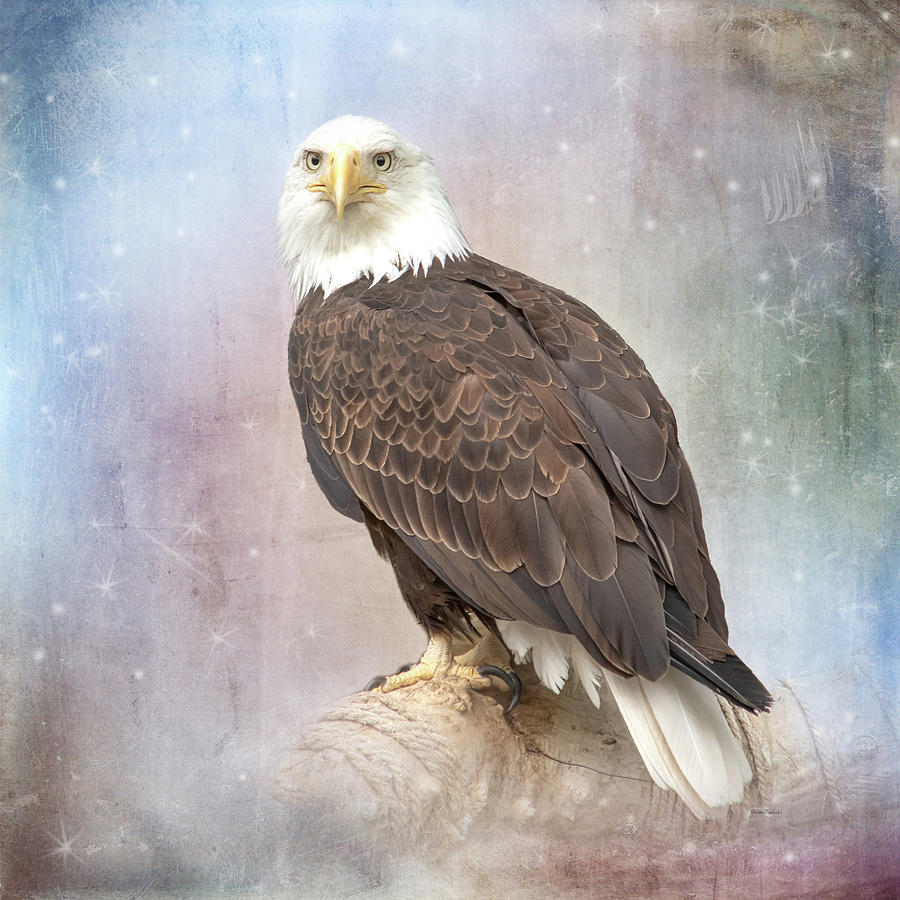 Going Forward Looking Back by Ramona Murdock Going Forward Looking Back by Ramona Murdock