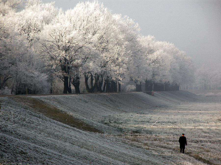 Winter Photograph - Going Home by Jacek Stefan