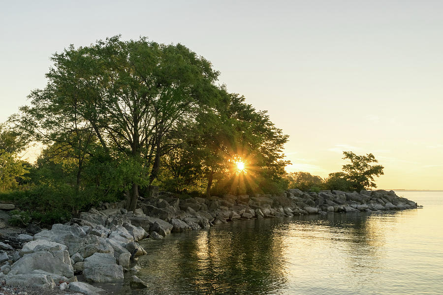 Gold and Green Summer - Glorious Sunrise on Lake Ontario Photograph by Georgia Mizuleva