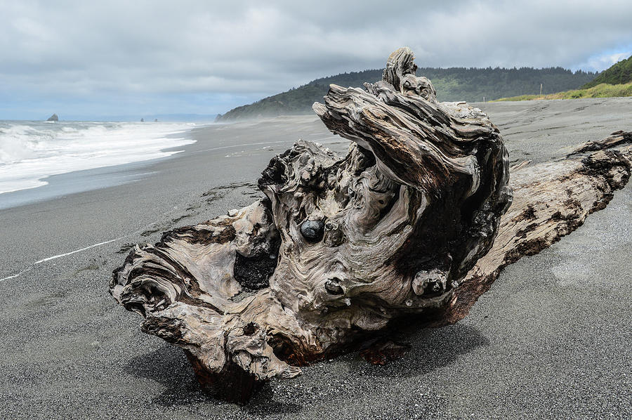 Gold Beach Oregon Photograph by Michelle Ressler - Fine Art America