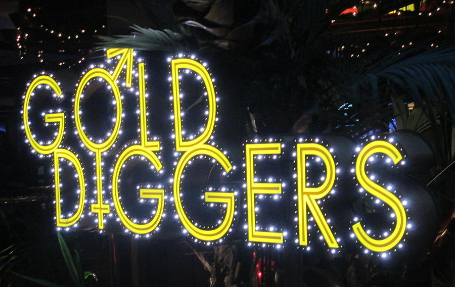 Gold Diggers Neon Sign Photograph by Kay Novy