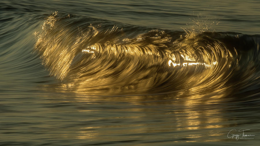 Gold Everywhere Photograph by Gregg Thomas - Pixels