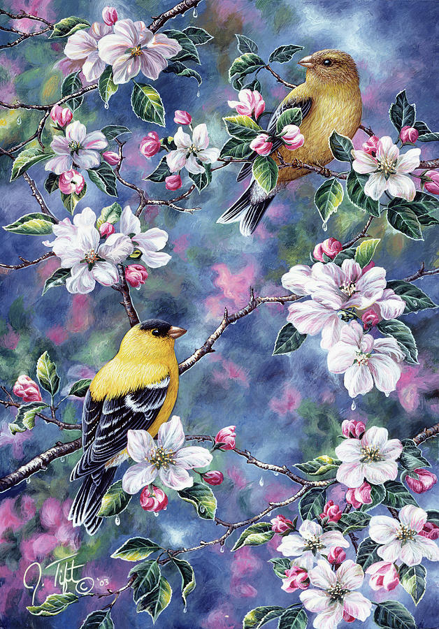 Gold Finch & Blossoms Painting by Jeff Tift
