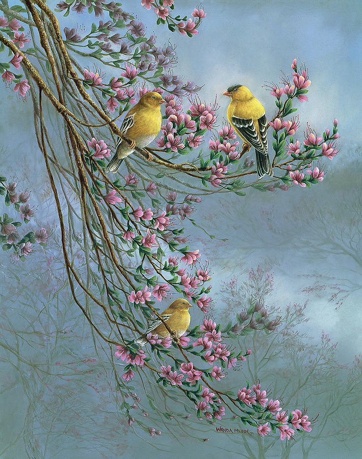 Gold Finches Painting by Wanda Mumm | Fine Art America