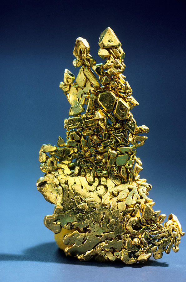 Gold From The Forest Hill District Photograph by Joel E. Arem