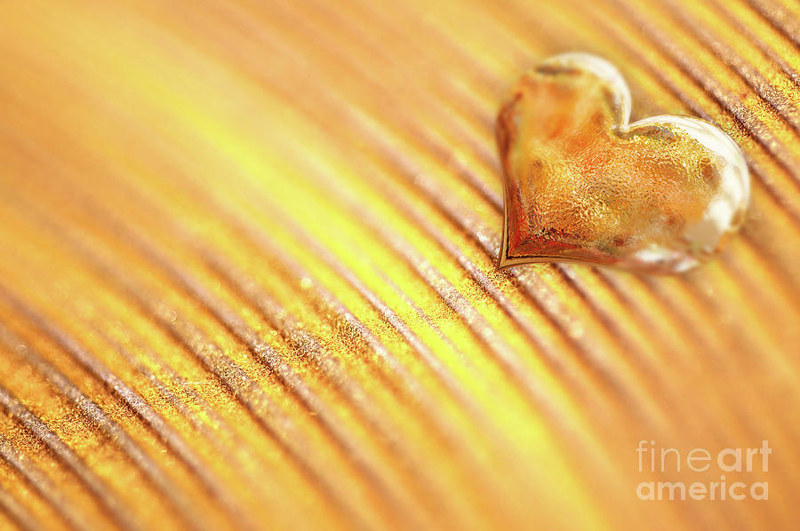 Valentine Photograph - Gold heart by Delphimages Photo Creations