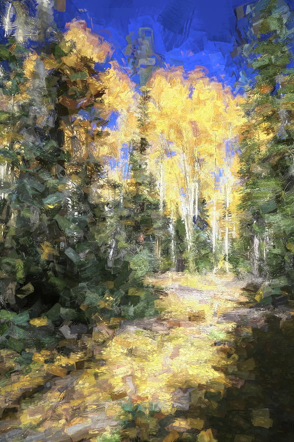 Dixie National Forest Photograph - Gold High And Low by Donna Kennedy Dixie National Forest Photograph - Gold High And Low by Donna Kennedy