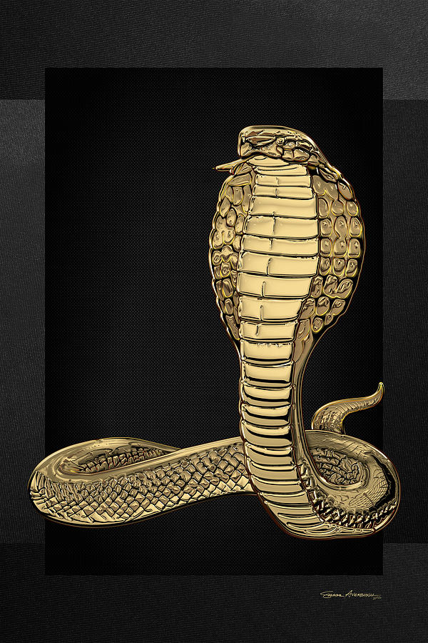 Gold King Cobra on Black Canvas Digital Art by Serge Averbukh