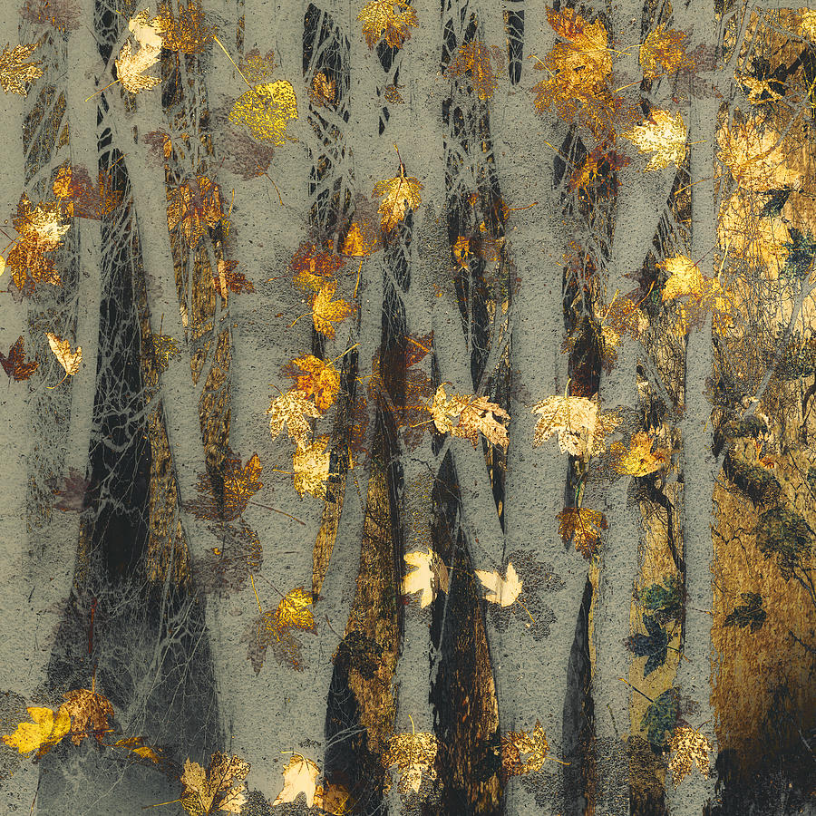 Gold Leaf Photograph by Nel Talen