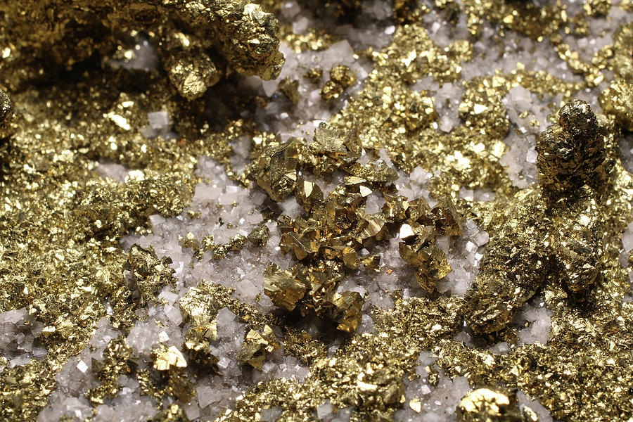 Gold Look Chalcopyrite Photograph by Dan Olsen - Pixels