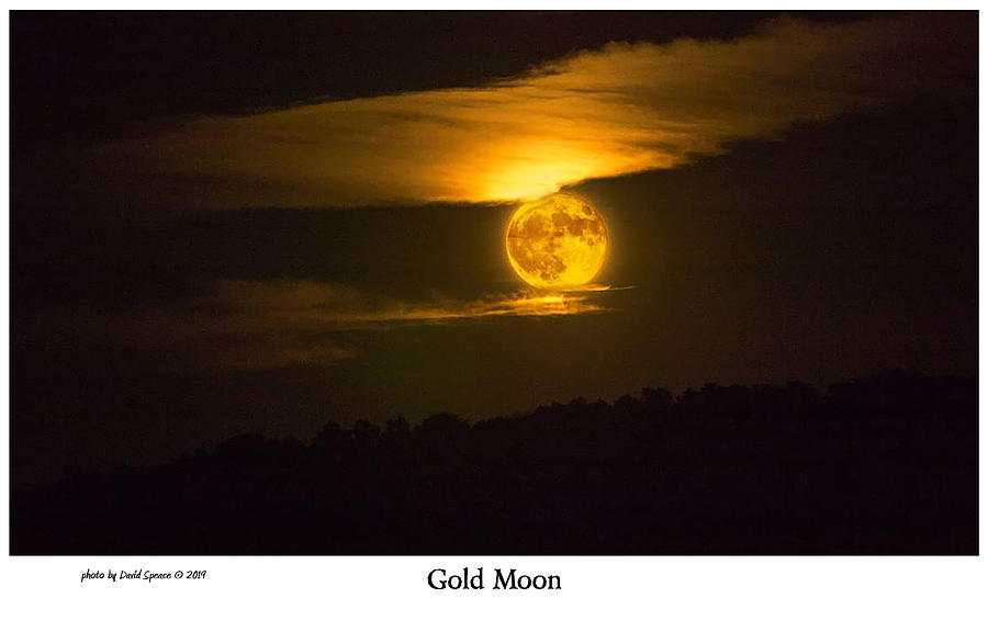 Gold Moon Photograph by David Speace