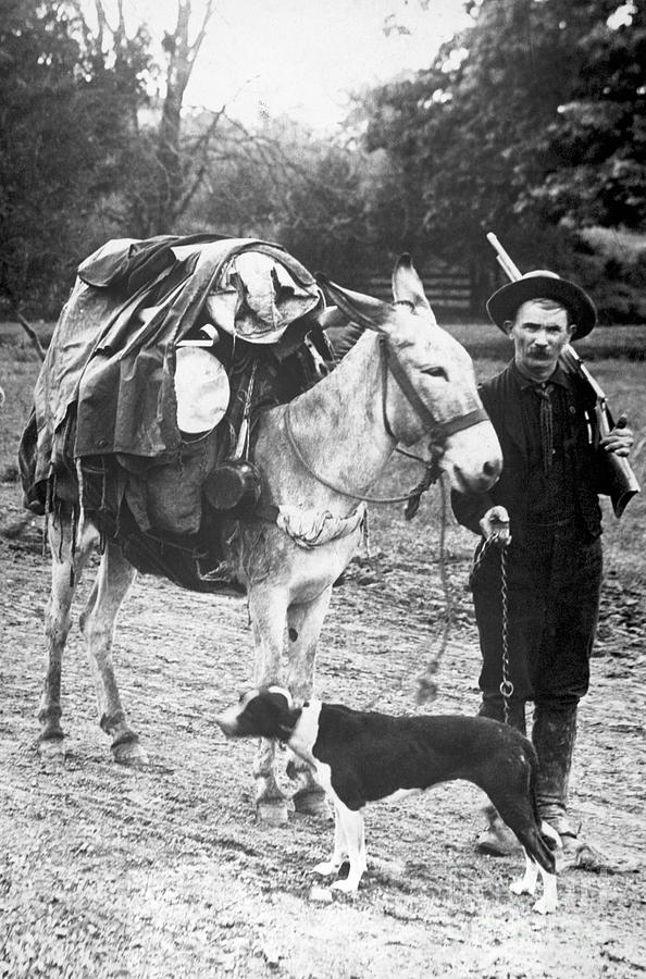 Gold Prospector With Pack Mule And Dog Photograph by Bettmann