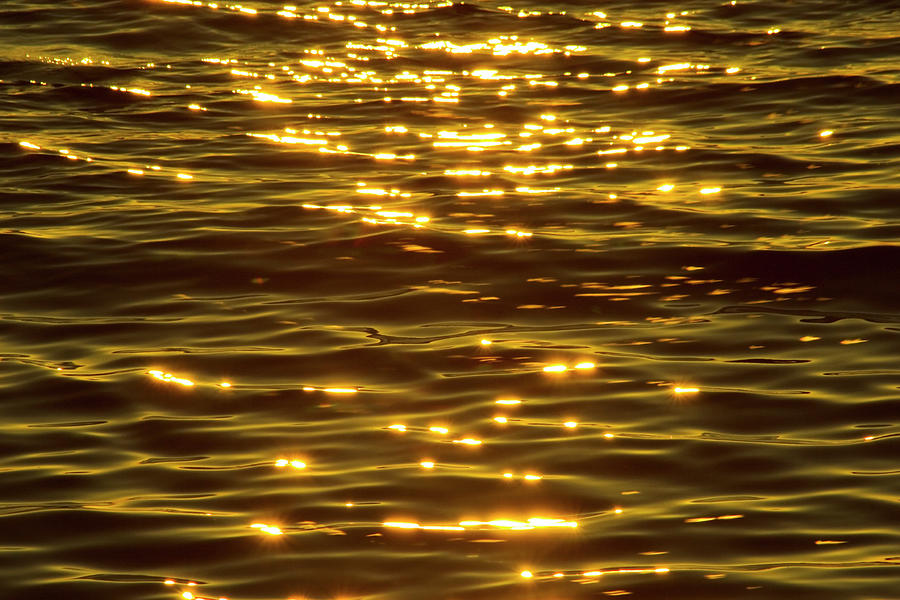 Gold Sea Photograph by Benl