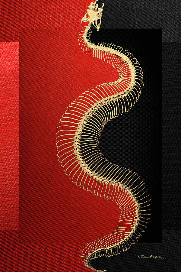 Gold Snake Skeleton over Black and Red Canvas Digital Art by Serge Averbukh