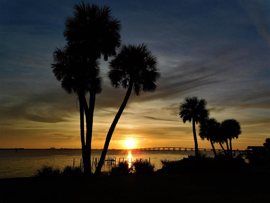 Gold Sunrise on the Indian Photograph by CJ Saturday FloridaGirlSafaris ...