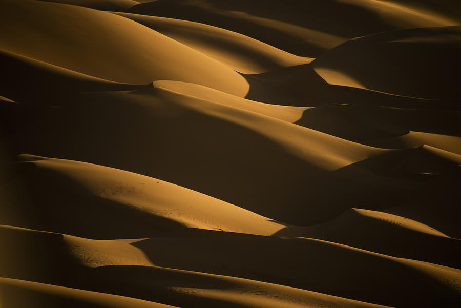 Gold Waves Photograph by Yomn Almonla