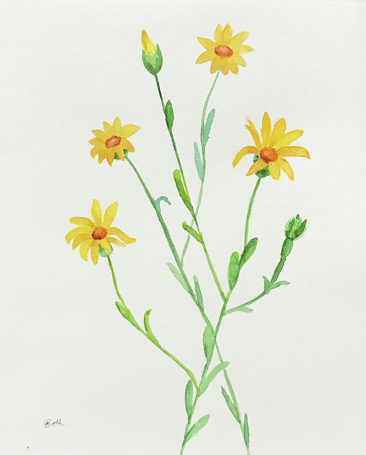 The Wildflower Series - Golden Aster by Beth Fontenot The Wildflower Series - Golden Aster by Beth Fontenot