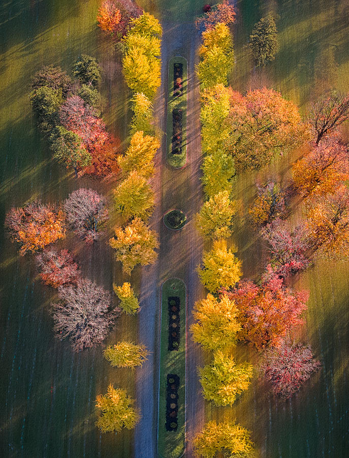 Golden Autumn Landscape Photograph by Ling Lu