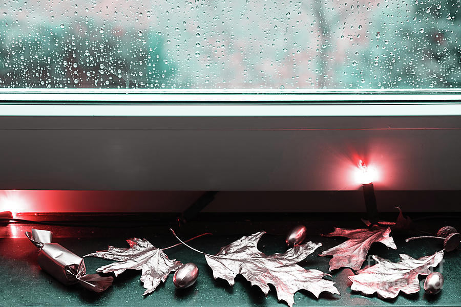 Golden autumn on the background of rainy window Photograph by Marina Usmanskaya
